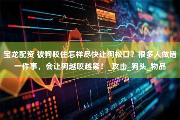 宝龙配资 被狗咬住怎样尽快让狗松口？很多人做错一件事，会让狗越咬越紧！_攻击_狗头_物品