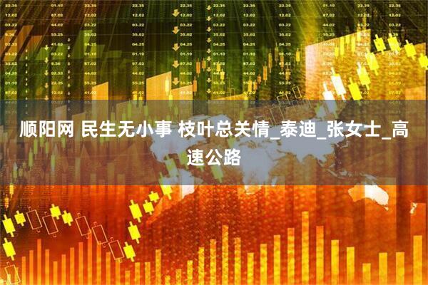 顺阳网 民生无小事 枝叶总关情_泰迪_张女士_高速公路