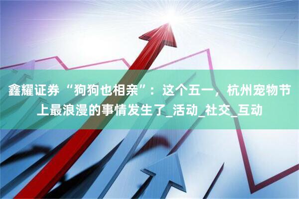 鑫耀证券 “狗狗也相亲”：这个五一，杭州宠物节上最浪漫的事情发生了_活动_社交_互动
