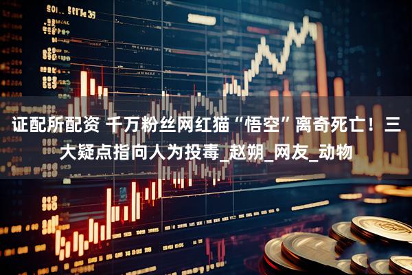 证配所配资 千万粉丝网红猫“悟空”离奇死亡！三大疑点指向人为投毒_赵朔_网友_动物
