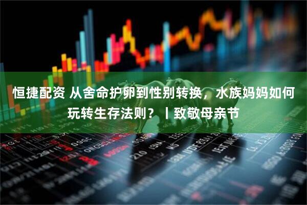 恒捷配资 从舍命护卵到性别转换，水族妈妈如何玩转生存法则？丨致敬母亲节