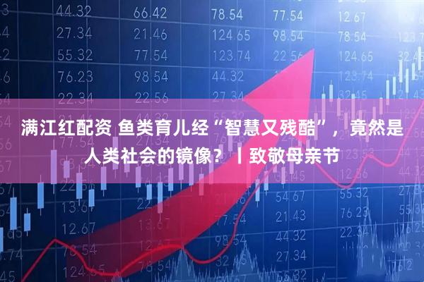满江红配资 鱼类育儿经“智慧又残酷”，竟然是人类社会的镜像？丨致敬母亲节