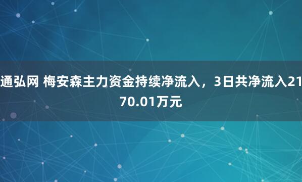 通弘网 梅安森主力资金持续净流入，3日共净流入2170.01万元