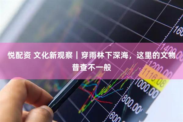 悦配资 文化新观察｜穿雨林下深海，这里的文物普查不一般