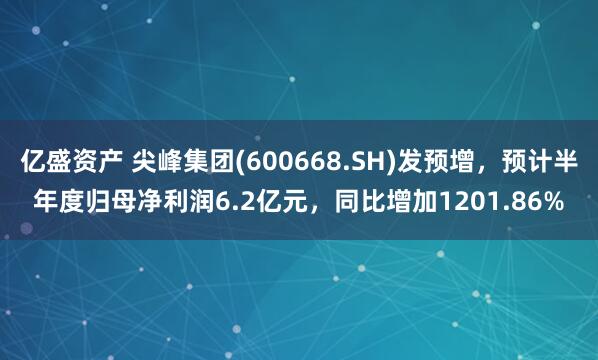 亿盛资产 尖峰集团(600668.SH)发预增，预计半年度归母净利润6.2亿元，同比增加1201.86%