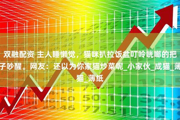 双融配资 主人睡懒觉，猫咪扒拉饭盆叮呤咣啷的把女子吵醒。网友：还以为你家猫炒菜呢_小家伙_成猫_薄纸