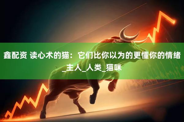 鑫配资 读心术的猫：它们比你以为的更懂你的情绪_主人_人类_猫咪