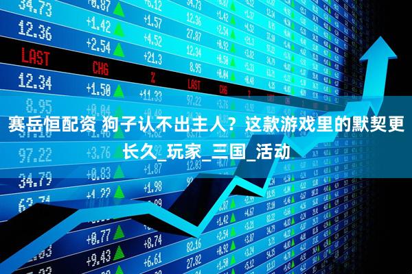 赛岳恒配资 狗子认不出主人？这款游戏里的默契更长久_玩家_三国_活动