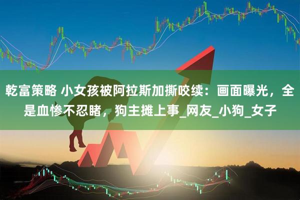 乾富策略 小女孩被阿拉斯加撕咬续：画面曝光，全是血惨不忍睹，狗主摊上事_网友_小狗_女子
