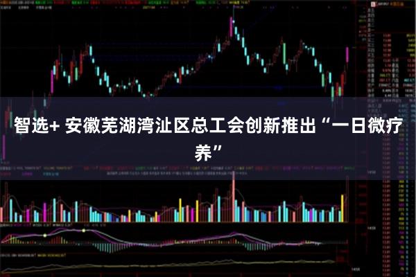 智选+ 安徽芜湖湾沚区总工会创新推出“一日微疗养”