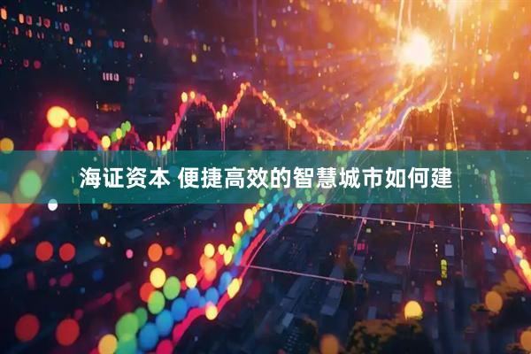 海证资本 便捷高效的智慧城市如何建