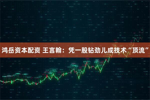 鸿岳资本配资 王言翰：凭一股钻劲儿成技术“顶流”