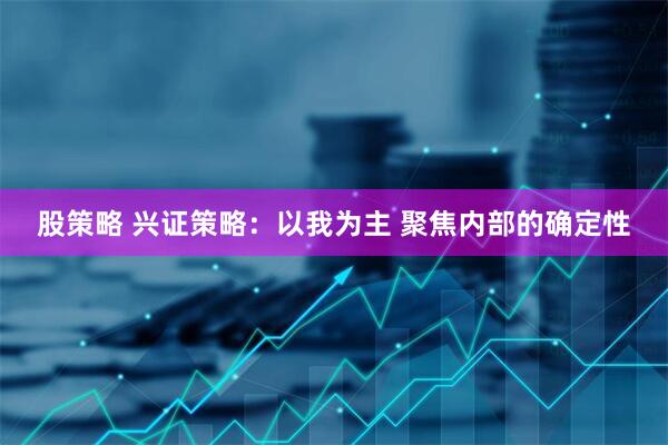 股策略 兴证策略：以我为主 聚焦内部的确定性