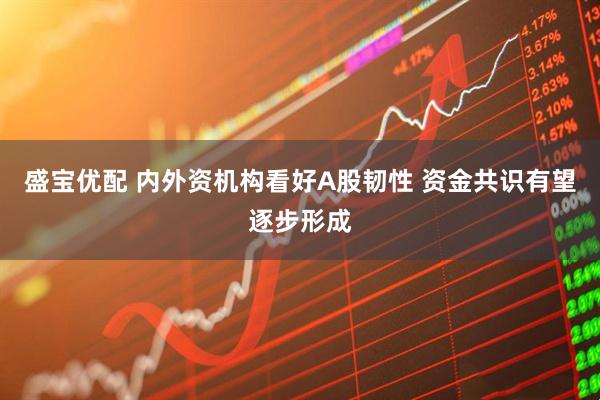 盛宝优配 内外资机构看好A股韧性 资金共识有望逐步形成