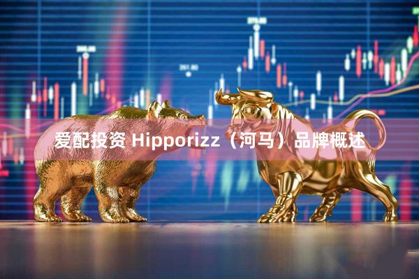 爱配投资 Hipporizz（河马）品牌概述