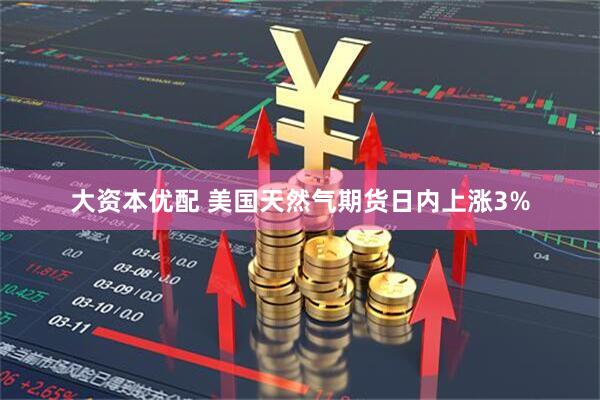 大资本优配 美国天然气期货日内上涨3%