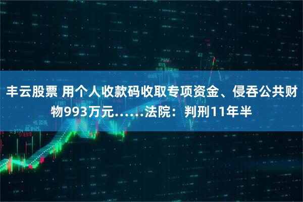 丰云股票 用个人收款码收取专项资金、侵吞公共财物993万元……法院:判刑11年半