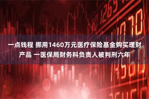 一点钱程 挪用1460万元医疗保险基金购买理财产品 一医保局财务科负责人被判刑六年