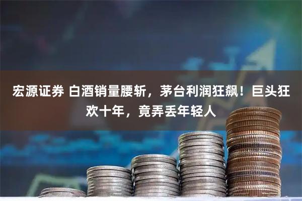 宏源证券 白酒销量腰斩，茅台利润狂飙！巨头狂欢十年，竟弄丢年轻人