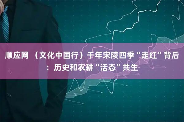 顺应网 （文化中国行）千年宋陵四季“走红”背后：历史和农耕“活态”共生
